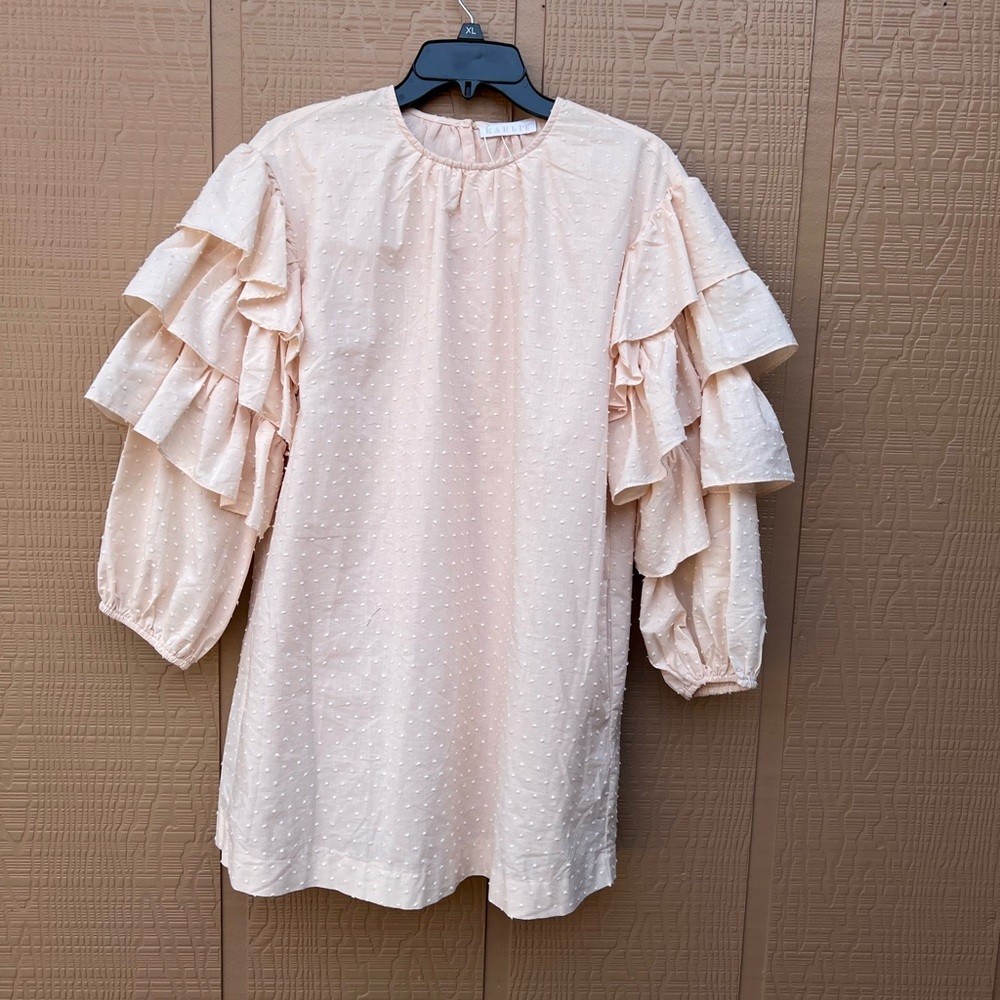 Karlie Blush Ruffle Sleeve mini shift dress